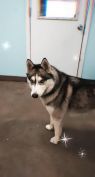 . Dakota .
