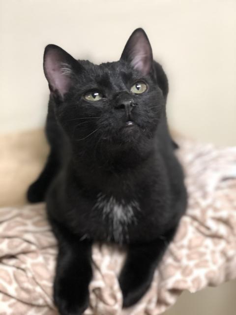 . Max .