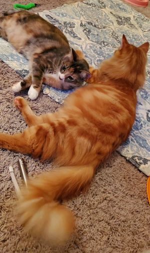 . Jack and Maci .