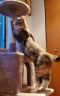 . Jack and Maci .