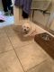 . Keeya - APPROVED ADOPTER .