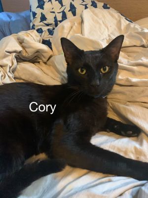 . Cory .