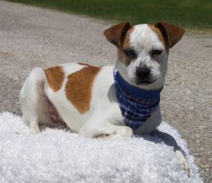 . Rico-Adoption Pending .