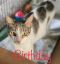 . Birthday .