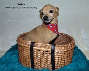 . Cheech .