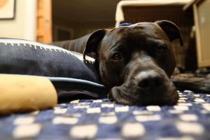 . Max .