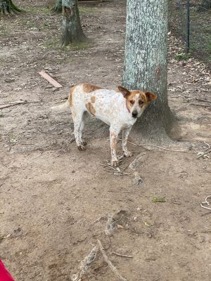 . Reba .