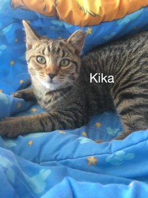 . Kika .