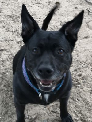 . Max .