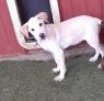 . Catherine Zeta Bones-Adoption Pending .