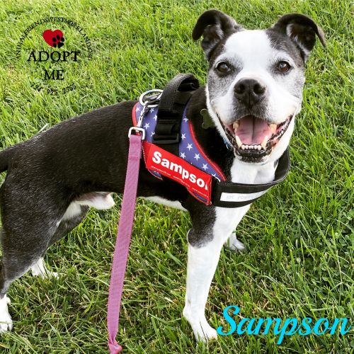 . Sampson .