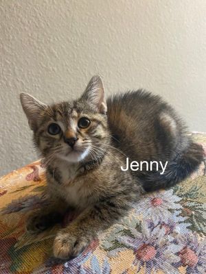 . Jenny .