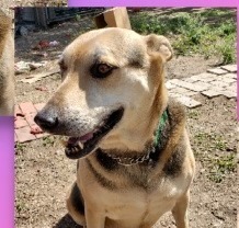 . Sasha .