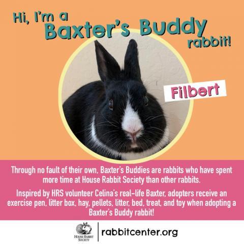 . Filbert .