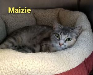 . Maizie .