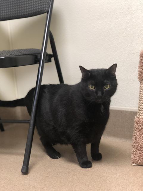 . Buster - curvy senior! .