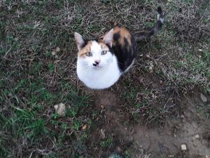 . Abby .