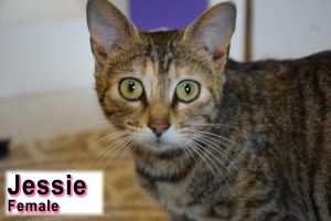 . Jessie .