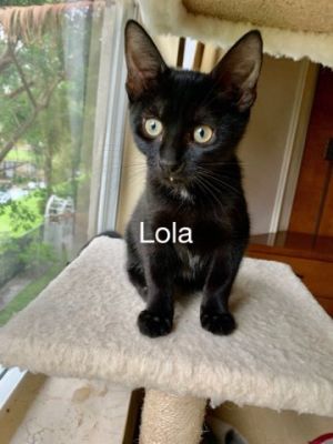 . Lola .
