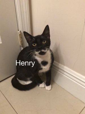 . Henry .