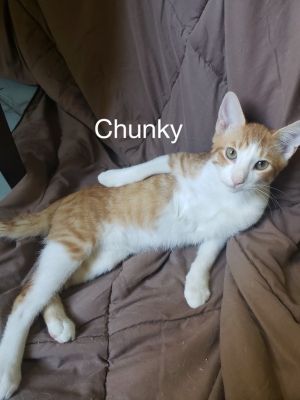 . Chucky .