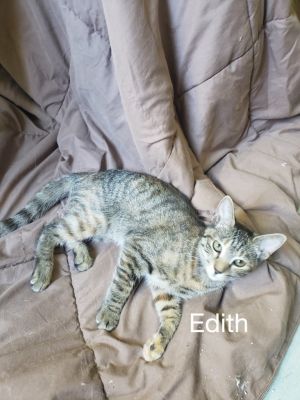 . Edith .