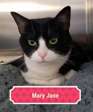 . Mary Jane .