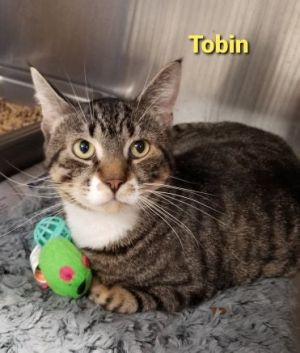 . Tobin .