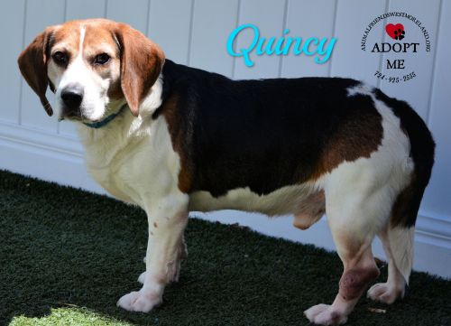 . Quincy .
