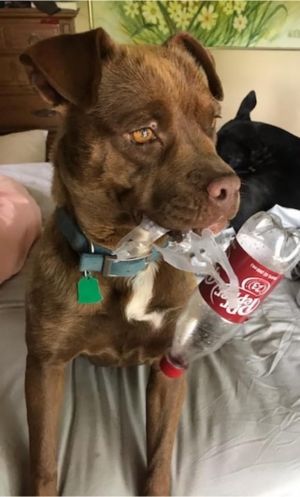. Lexi .
