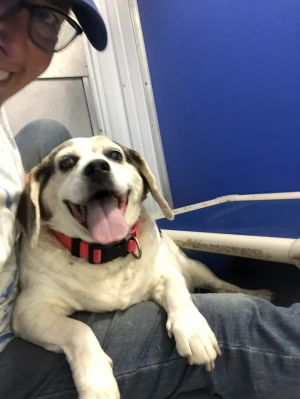 . Max .