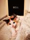 . Bell .