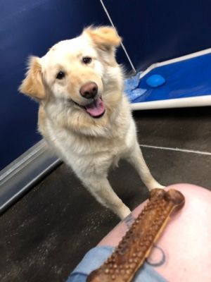 . Banana .