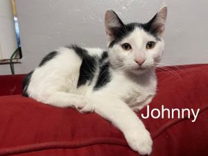 . Johnny .