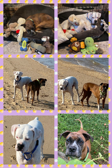 . Zeus & Princess .