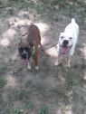. Zeus & Princess .