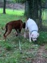 . Zeus & Princess .