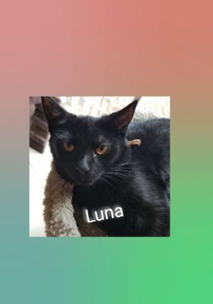 . Luna .