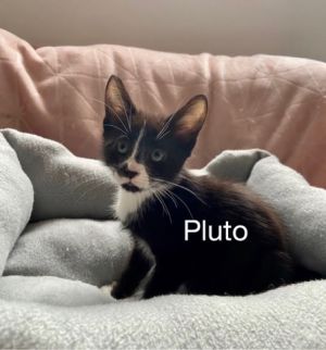 . Pluto .