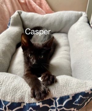 . Casper .