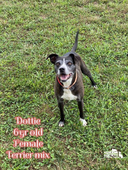 . Dottie .