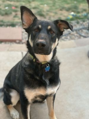 Max