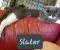 . Slater .