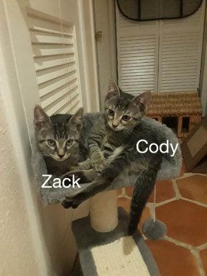 . Zack .