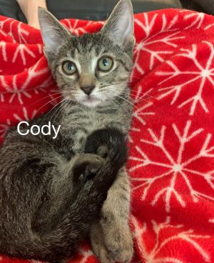 . Cody .