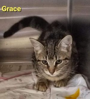 . Grace .