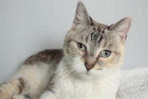 . Sabrina .