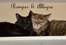 . Allegra & Romper - together .