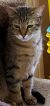 . Sammy our little butterfly .
