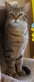 . Sammy our little butterfly .
